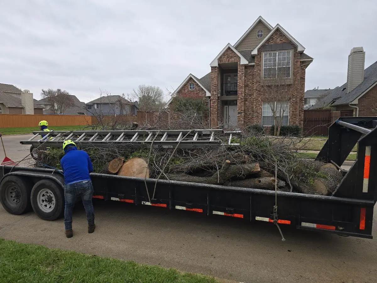 Expert Tree Pest Control with proper safety equipment in Piru